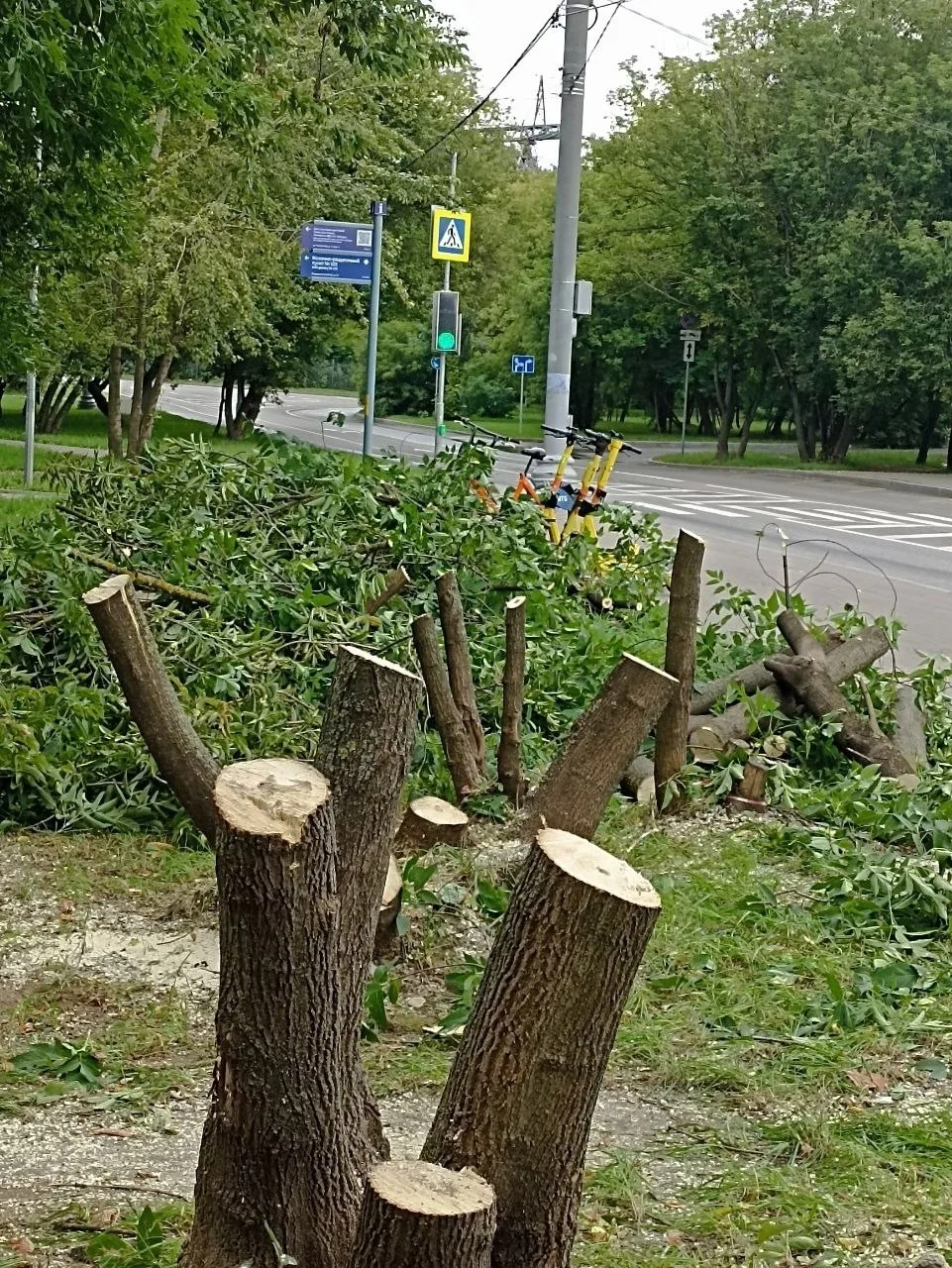 Спилили деревья на остановке ул.Головачева д.7. Кому они помешали?
Вот такая "забота" о жителях Любл
