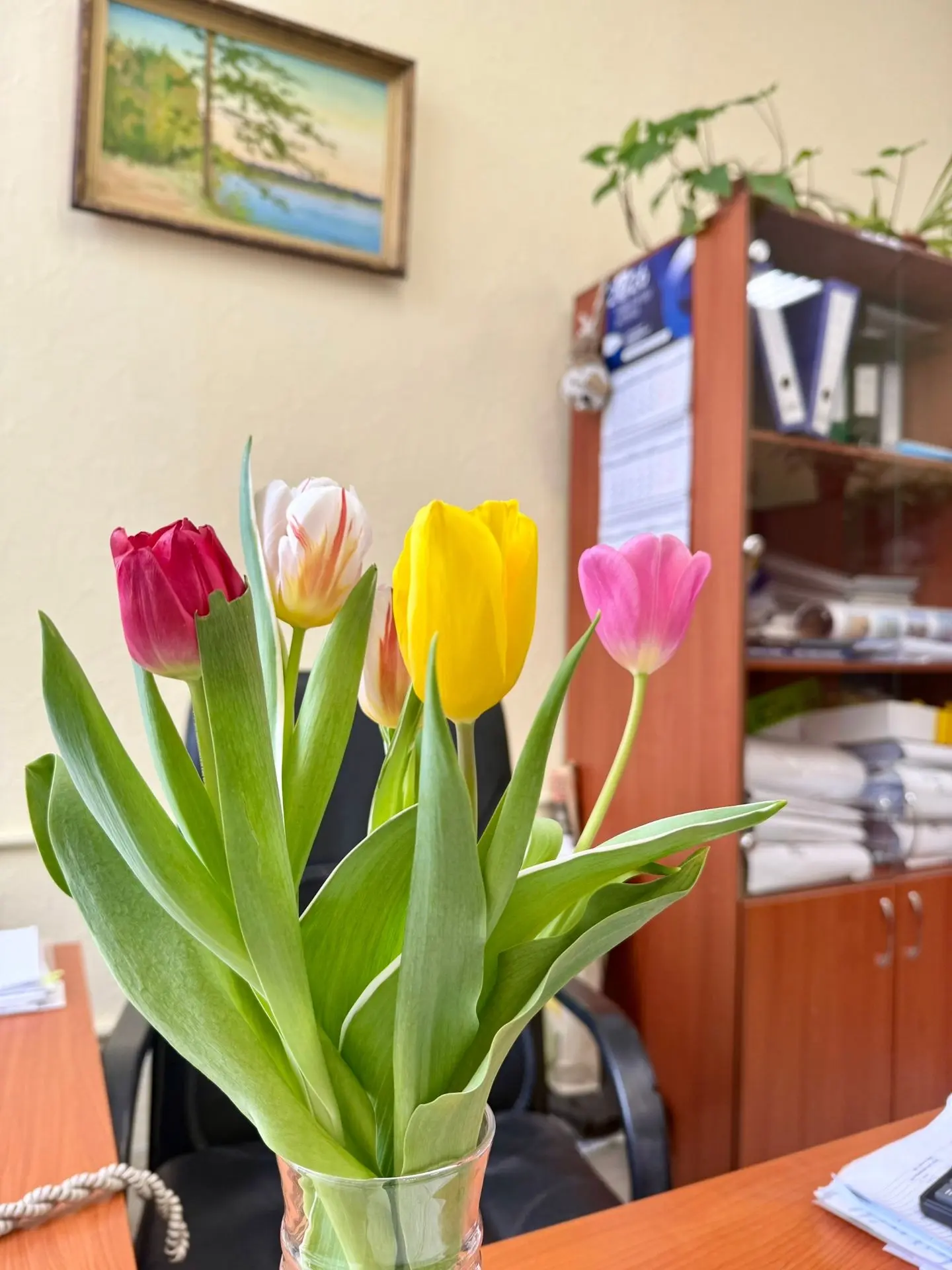 На улице - снег, а в корпусах УлГУ - весна 🌷🌷🌷