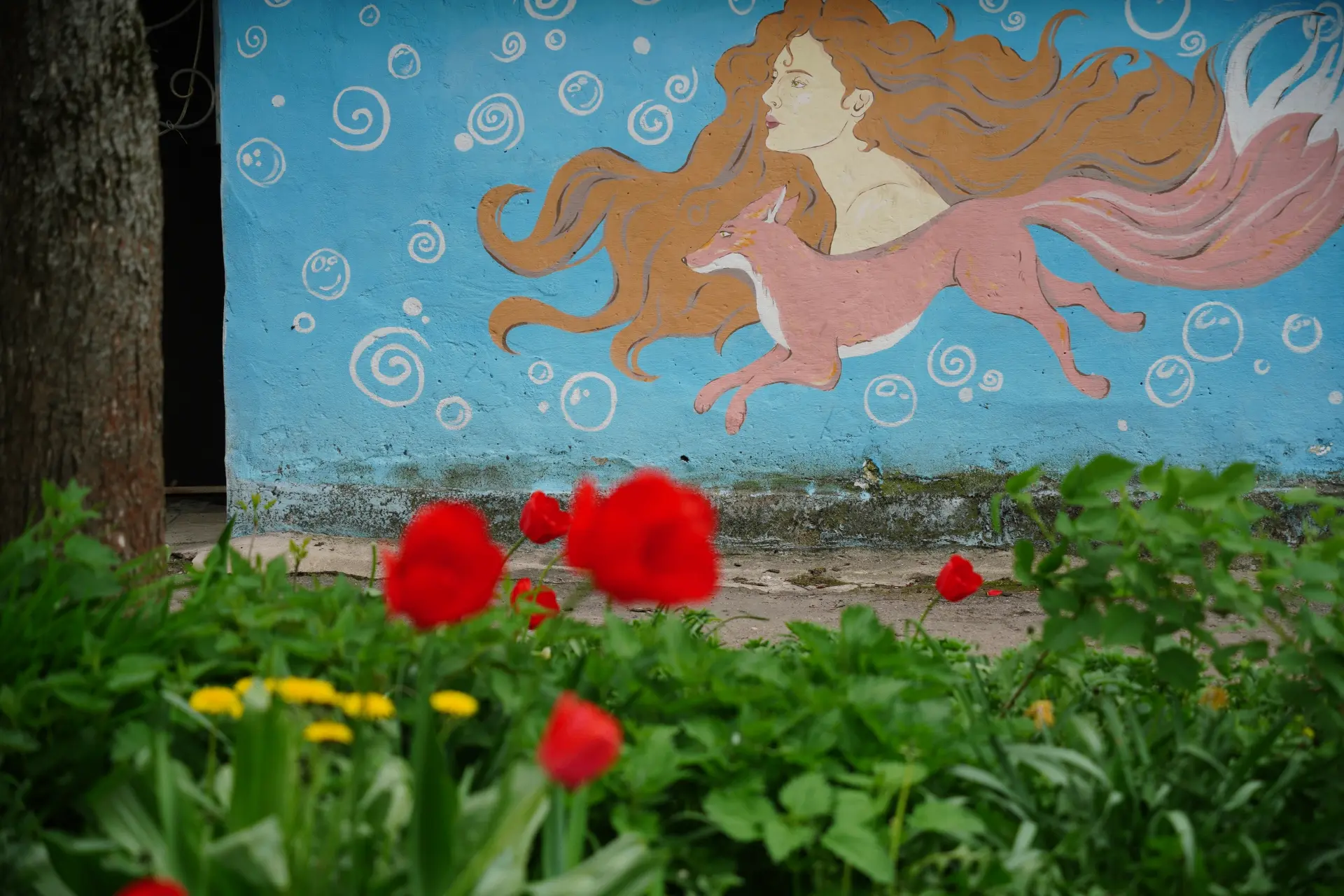 Ухудшение погоды не мешает Вологде цвести и радовать глаз 🌷