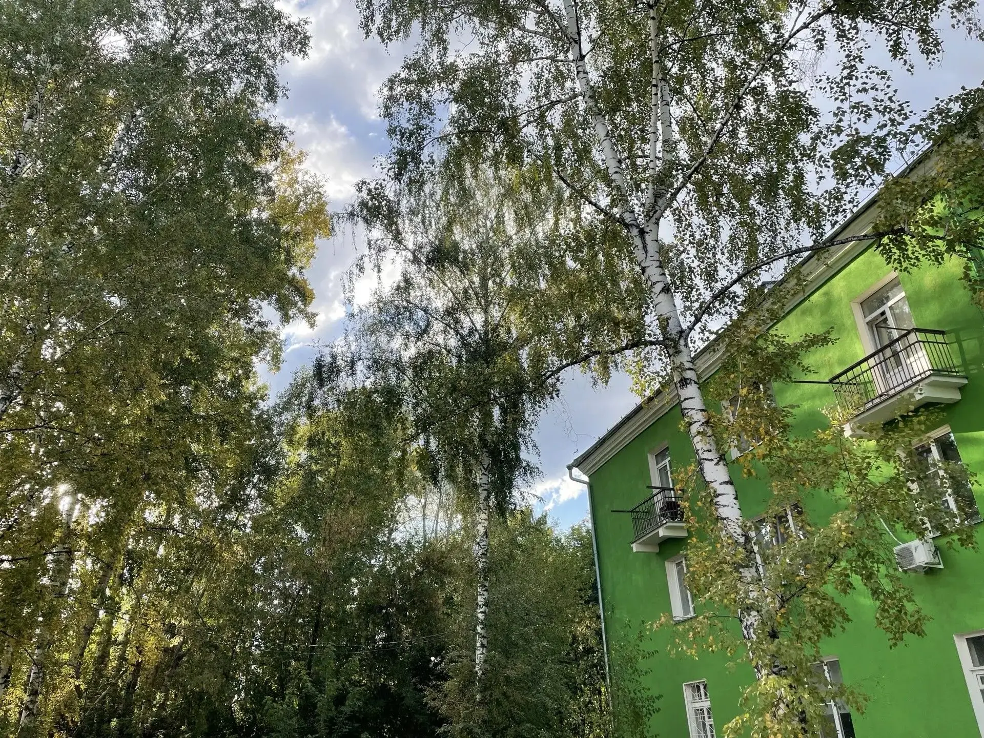 Утро сегодня серое и пасмурное, но ближе к обеду покажется солнце и уже не спрячется до...