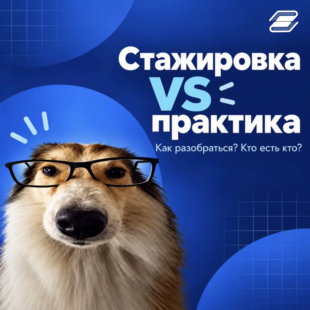 Стажировки, практики… А в чем разница-то? 🤔
