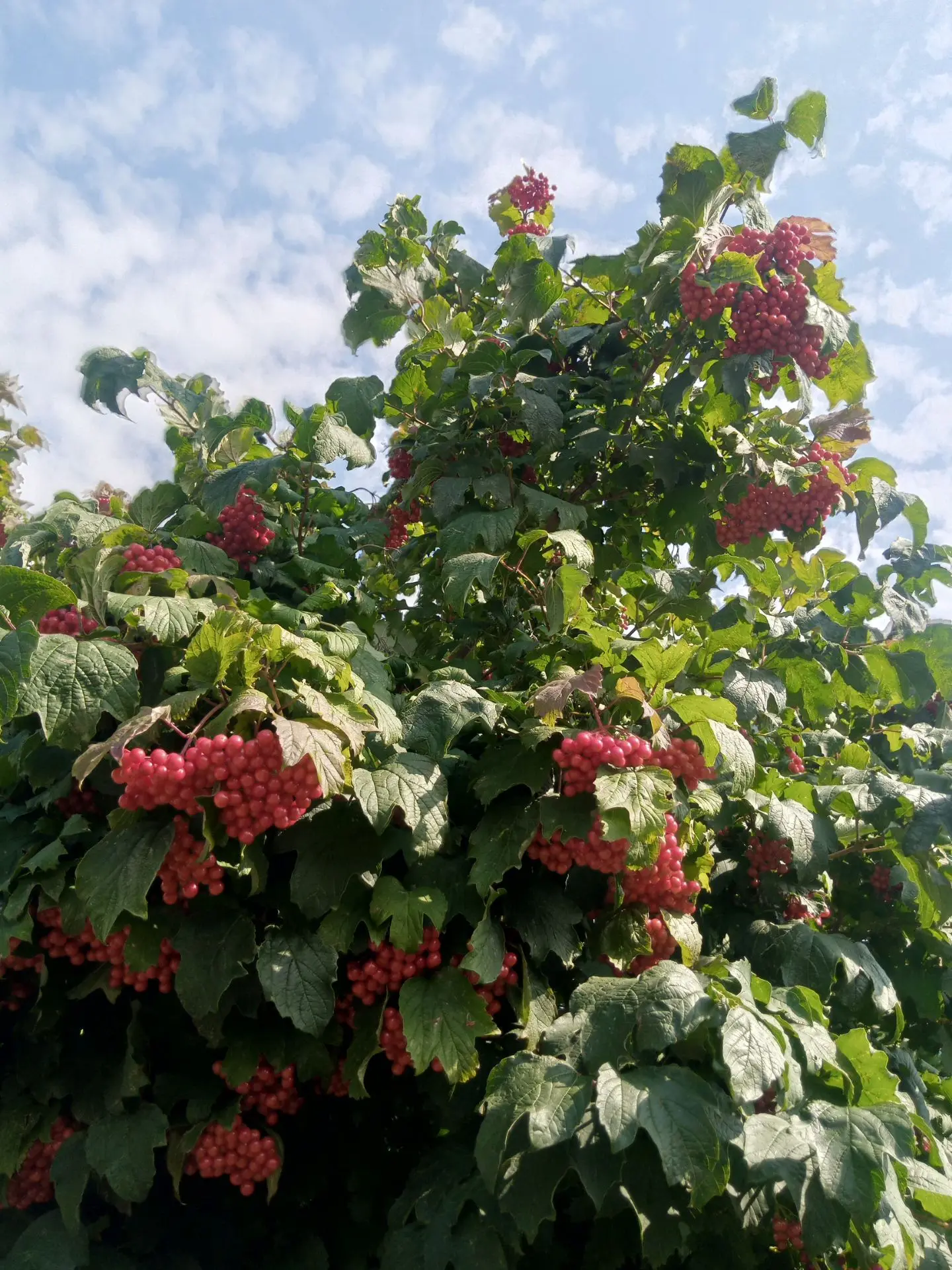 Провожаем лето с улыбкой! ☀️🎈Скоро осень... Листья на деревьях начинают менять цвет, н...