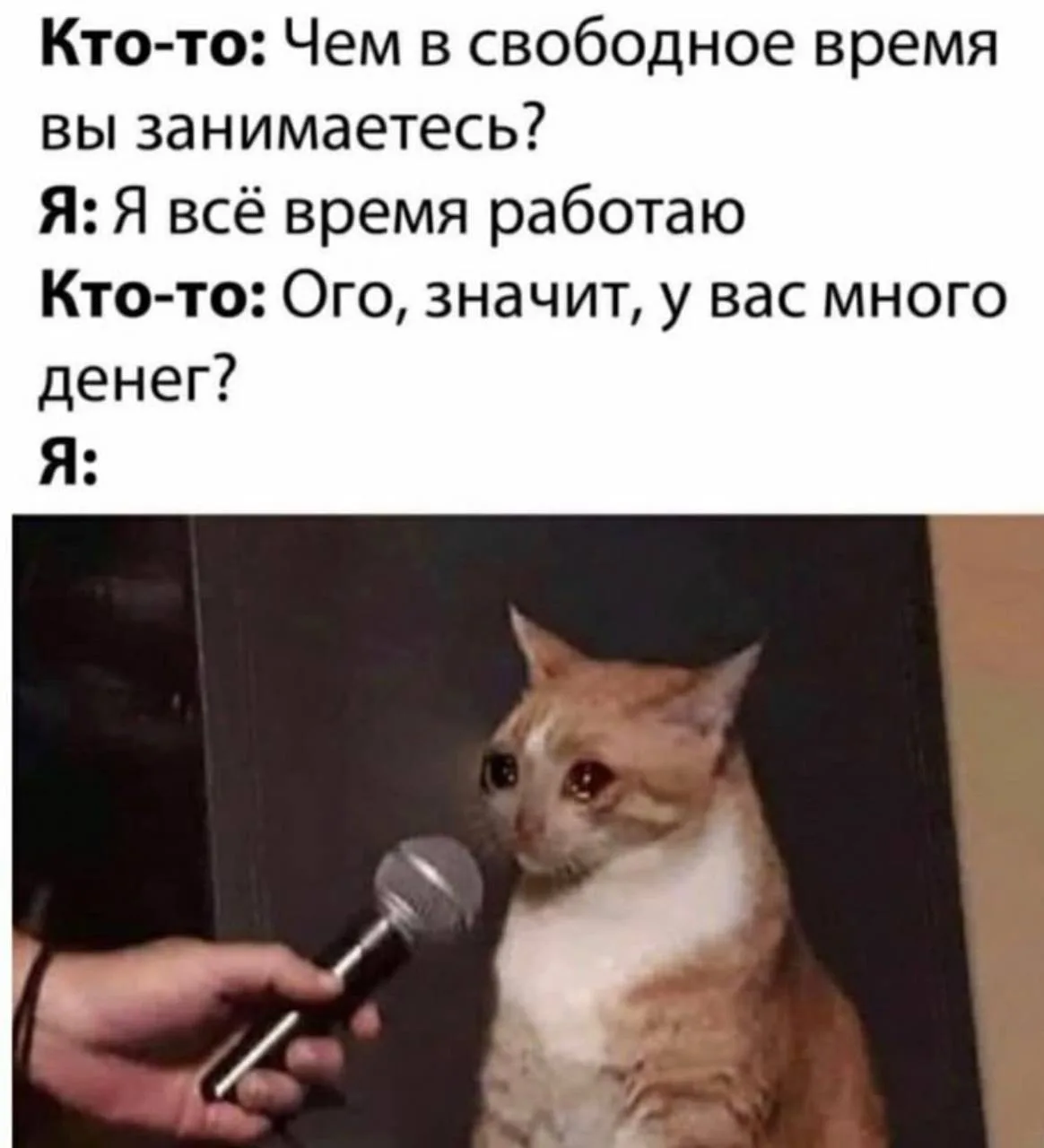 Кто-то: Чем в свободное время вы занимаетесь?