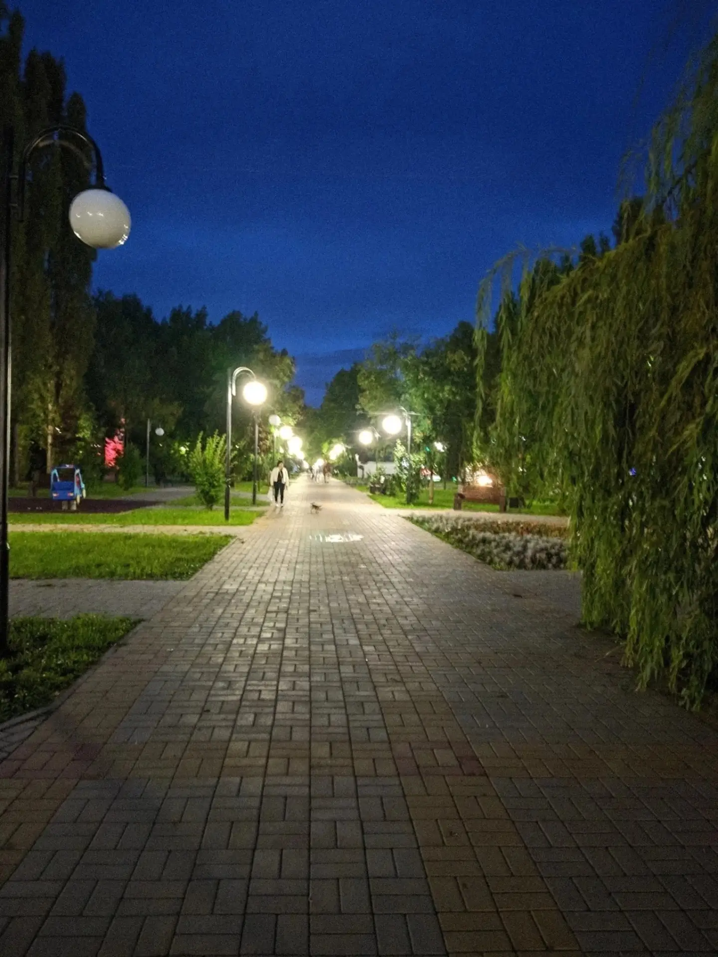 Вечер в сквере Харченко ✨

Мой Елец. Подписаться