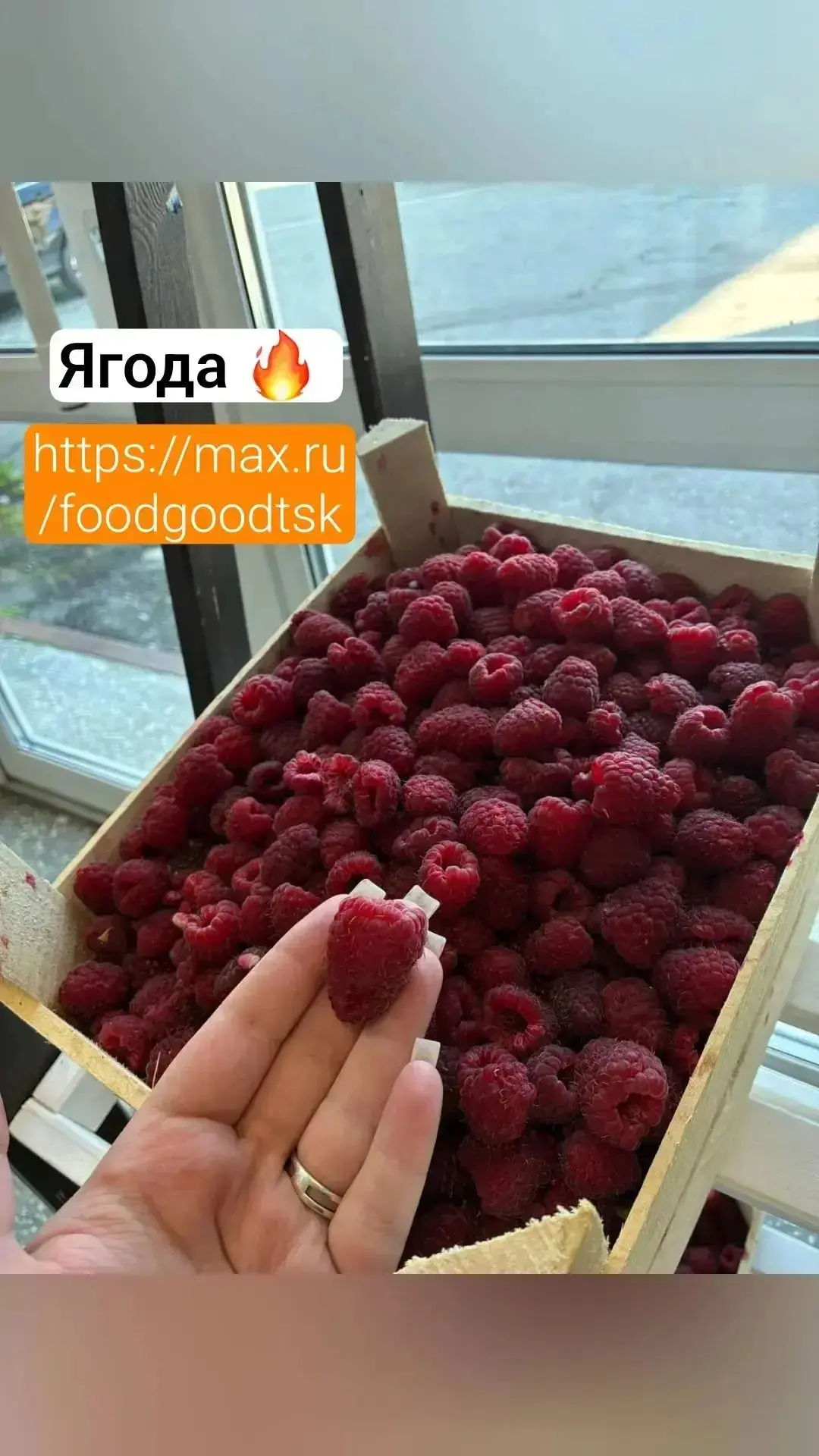 🍓 Поставка свежей ягоды из Киргизии, 8-9 августа