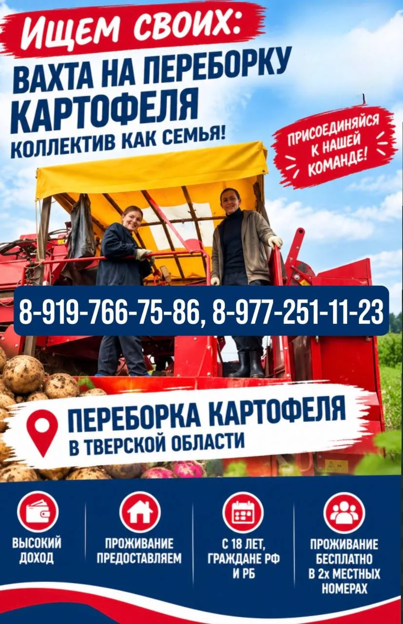 Ищем своих людей в нашу команду — работаем вместе, поддерживаем друг друга и зарабатыва...