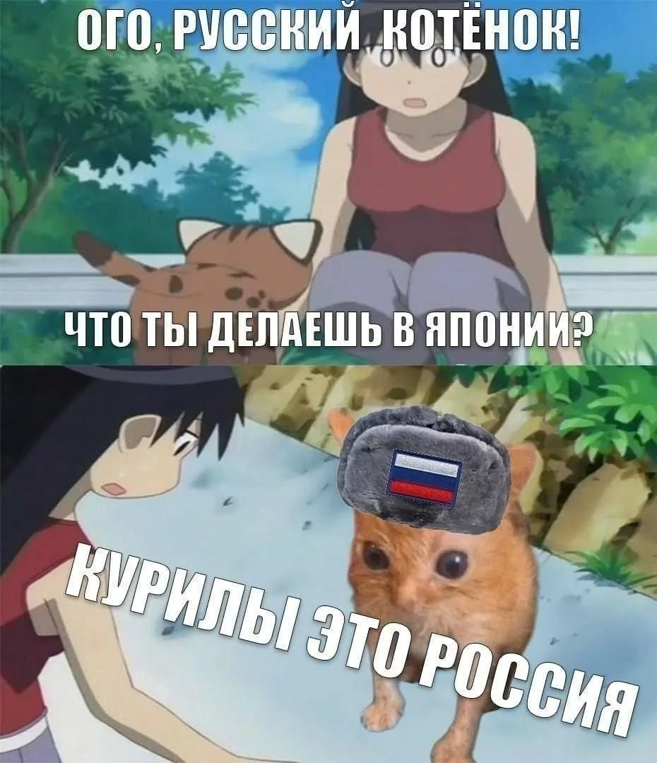Мемы каждый день • Подписаться