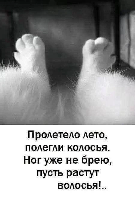 Наш телеграм: https://t.me/votetoprikol90