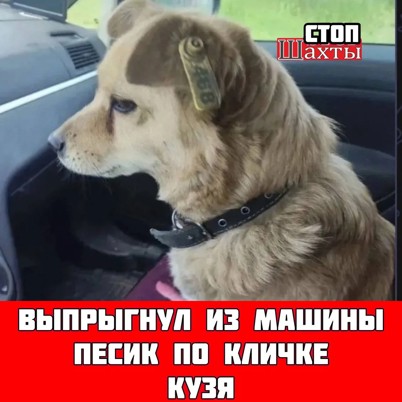 КАЖДЫЙ ЛАЙК И РЕПОСТ ПОМОЖЕТ БОЛЬШЕМУ КОЛИЧЕСТВУ ЛЮДЕЙ УВИДЕТЬ ДАННЫЙ ПОСТ 

15.07.26. В пос. Южная,