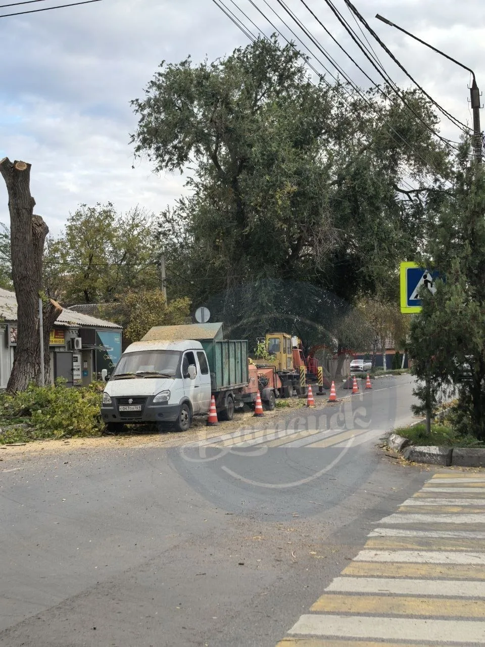 Контракты на обрезку деревьев в Батайске ✂️