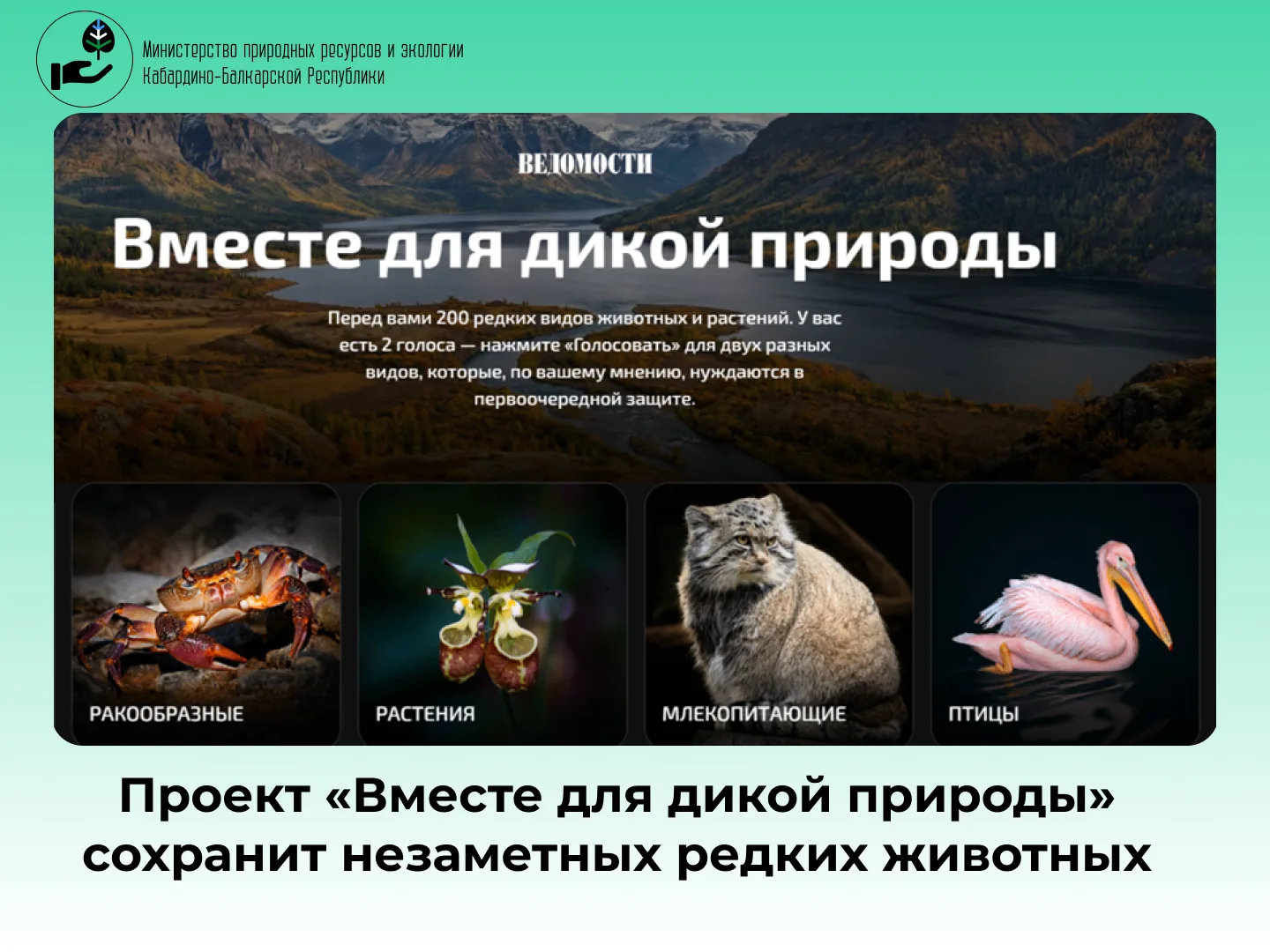 Проект «Вместе для дикой природы» сохранит незаметных редких животных