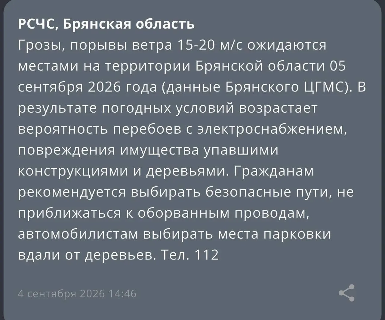 Грозы и ветер до 20 м/с надвигаются на Брянскую область