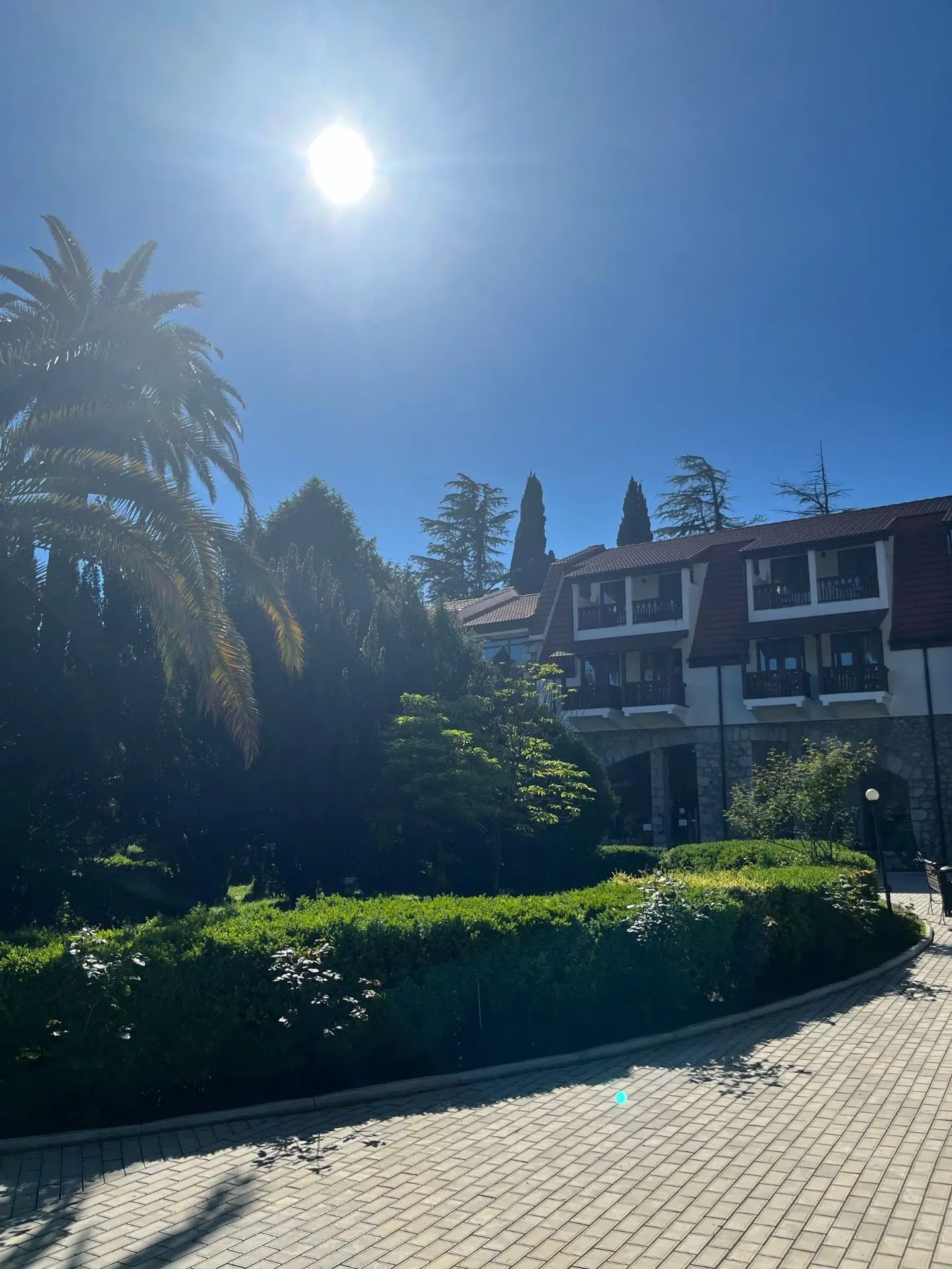 🤩ШИКАРНЫЕ ПРЕДЛОЖЕНИЯ В АБХАЗИЮ🌴