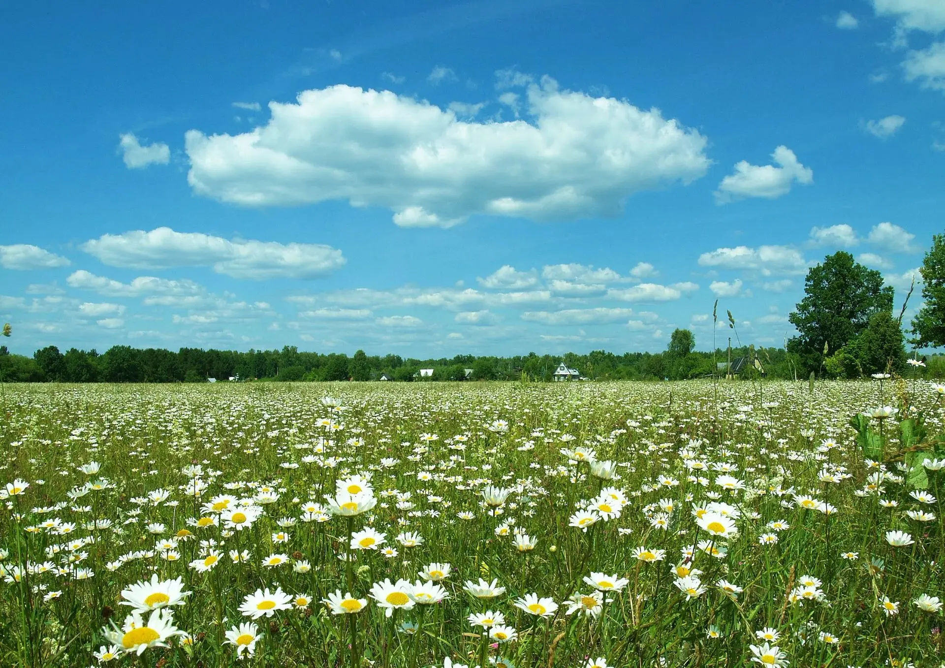 Күркәм холоҡ ул: