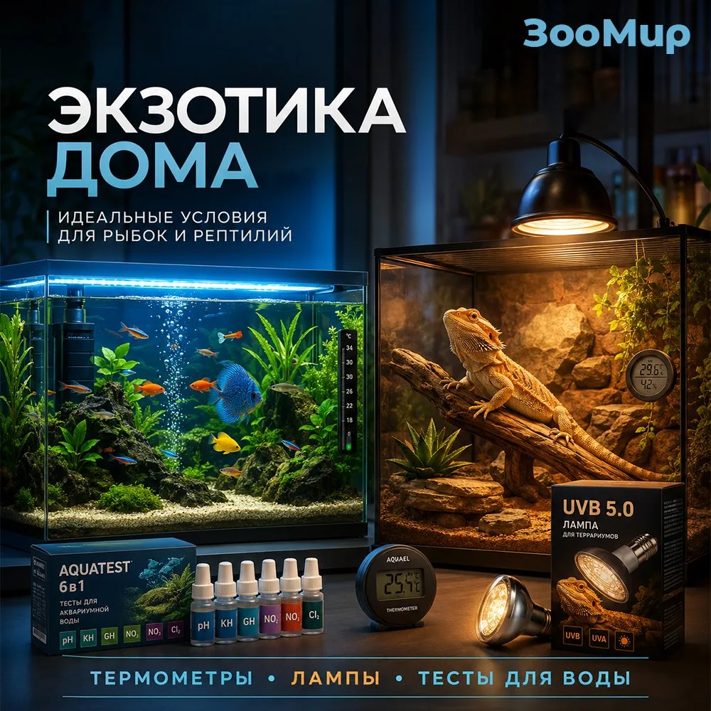 🐠🦎 Экзотика дома: как создать идеальные условия?