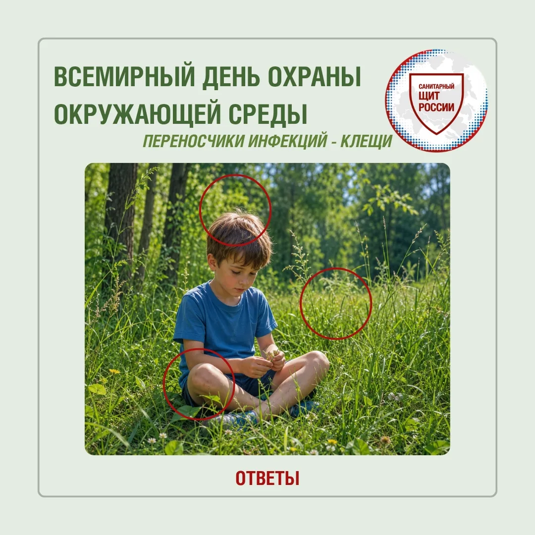 ❗️ Всемирный день охраны окружающей среды. Переносчики - клещи! ОТВЕТЫ