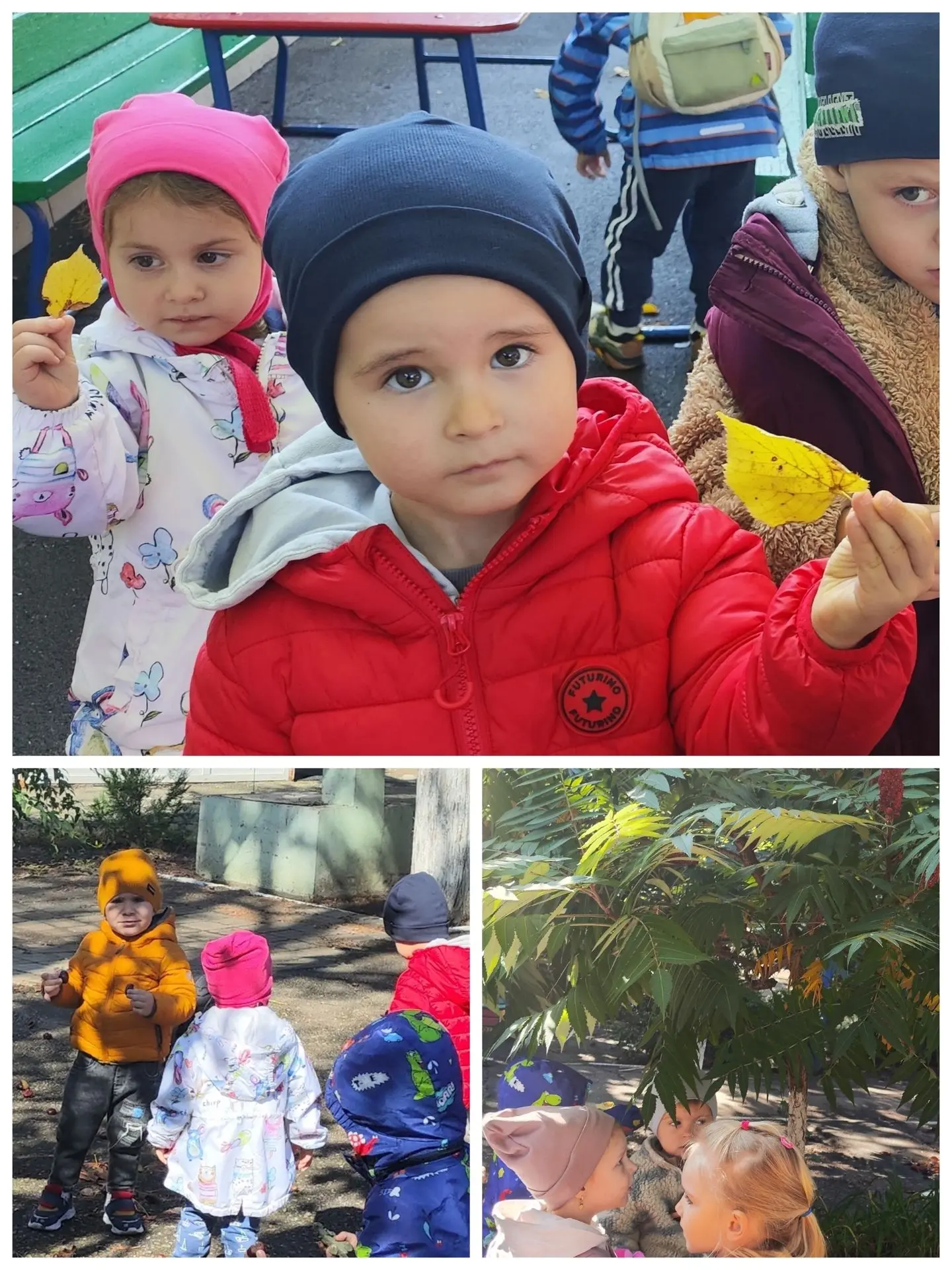 Как здорово прогуляться в солнечный осенний  денёк ☀️🍂🍁