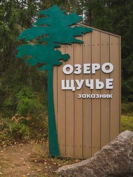 🌳 В Комарово открылась новая экологическая тропа — Озерная