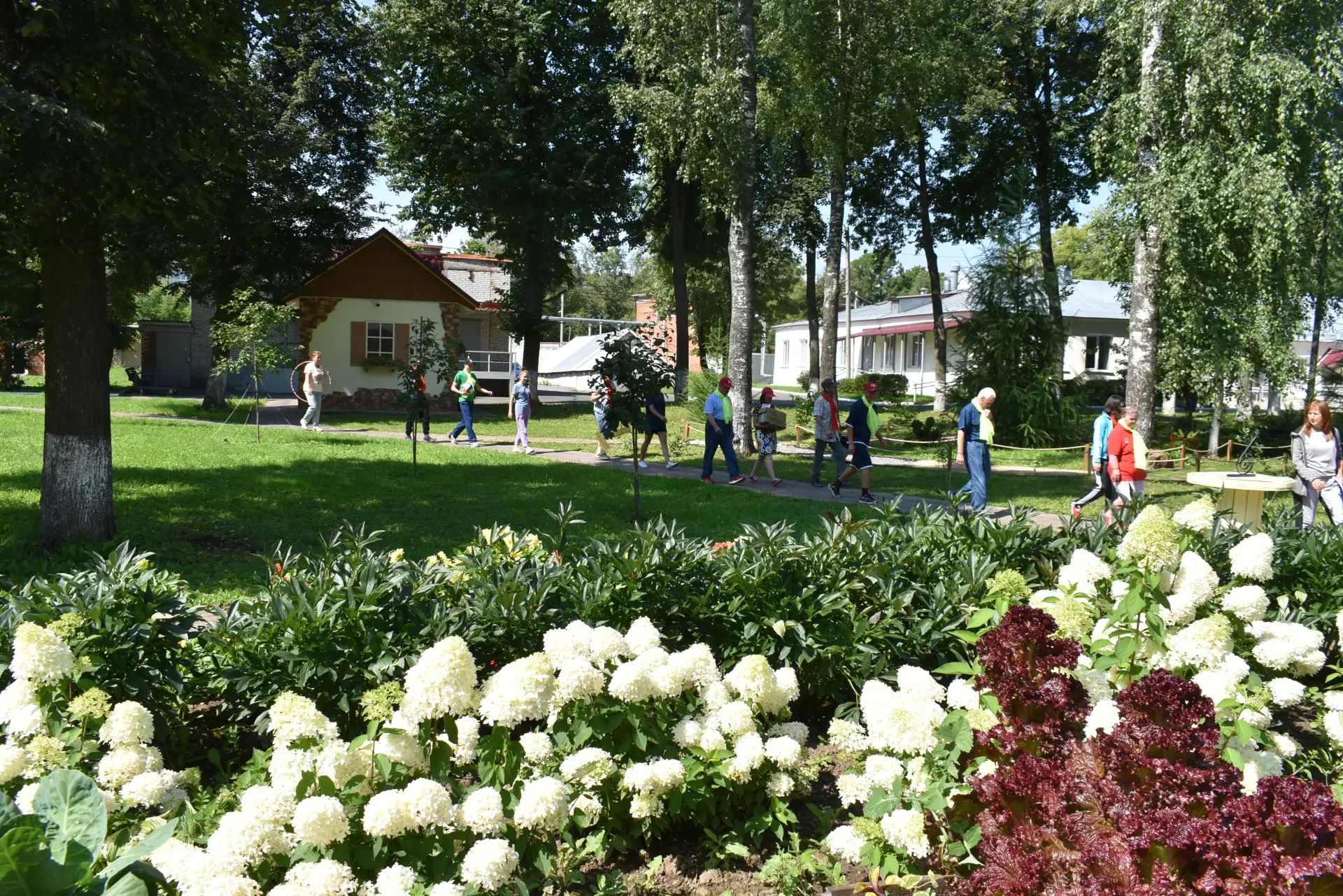 Цветущие оазисы и аромат уходящего лета!🌺🌿🌸
