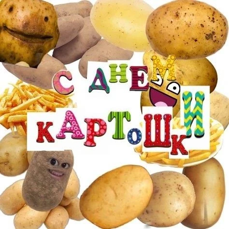 Картошку любят все на свете даже взрослые и дети