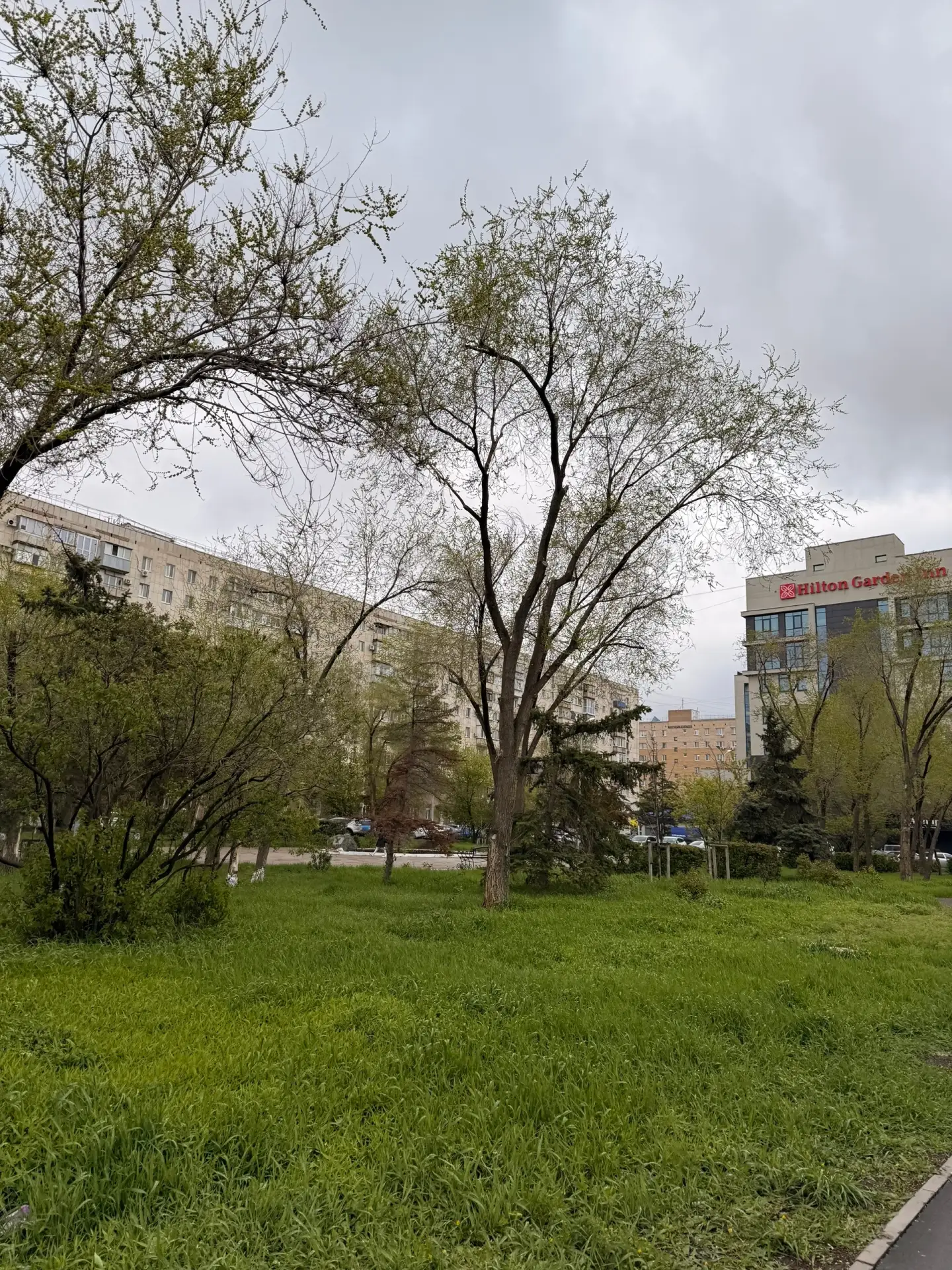 Что удивило в Оренбурге. Так это зелёные деревья 🌳 У нас в Екатеринбурге только-только...
