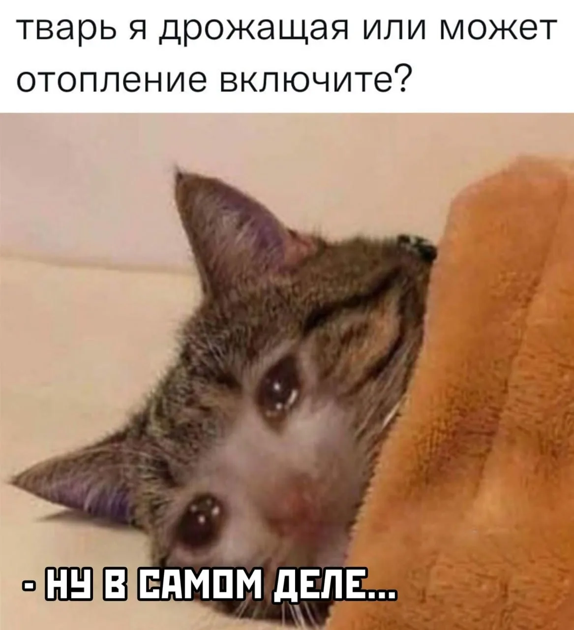 Свершилось! В Питере наконец-то включают батареи 🔥