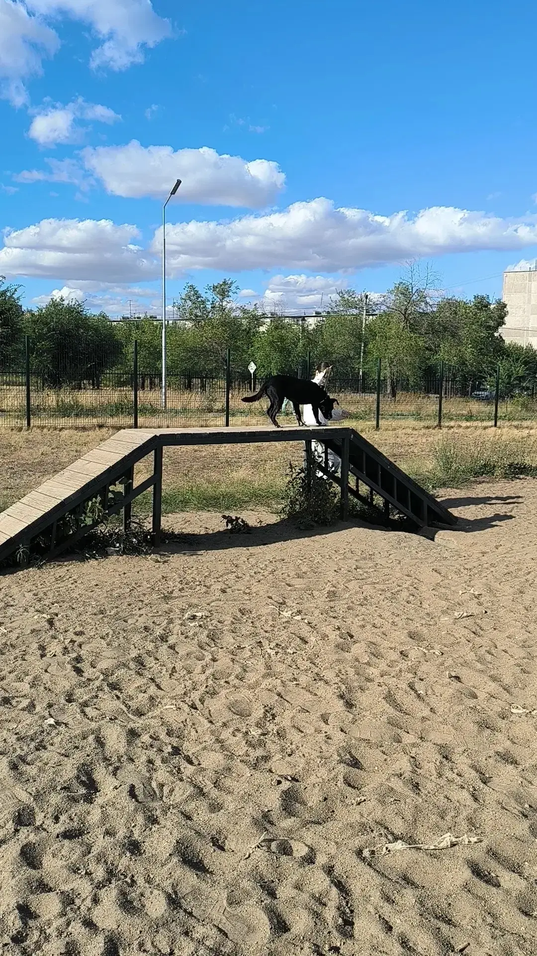 Теперь домашний 🥳