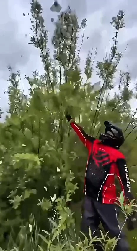 🦋 Нашествие бабочек на реке Вагран

Жительница Североуральска сняла на видео, как бейсболку и вещи 