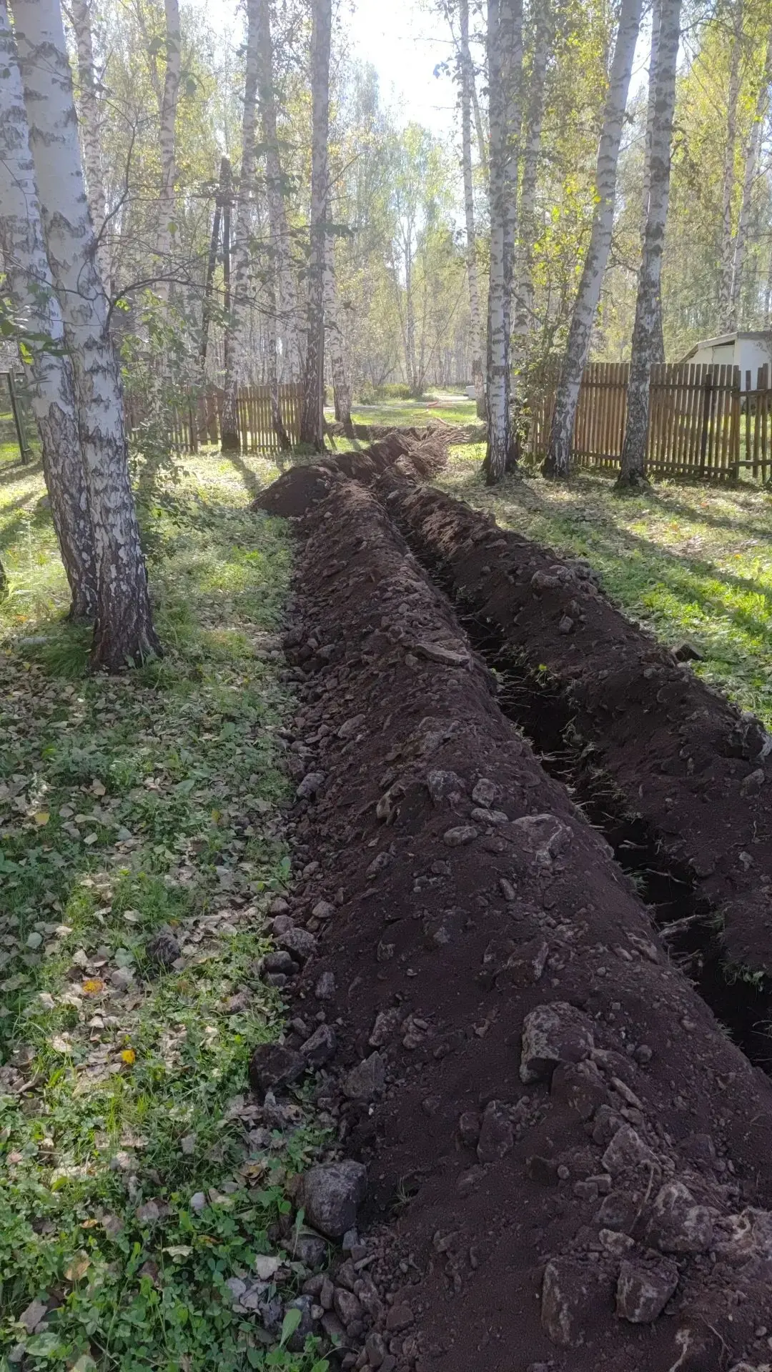 Впереди новые высоты