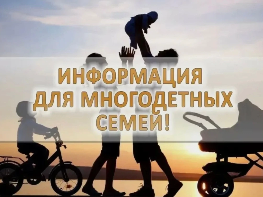 Питбайк – это не мини-мотоцикл. Его конструкция не предназначена для выезда на дорогу.

Мы разобрали