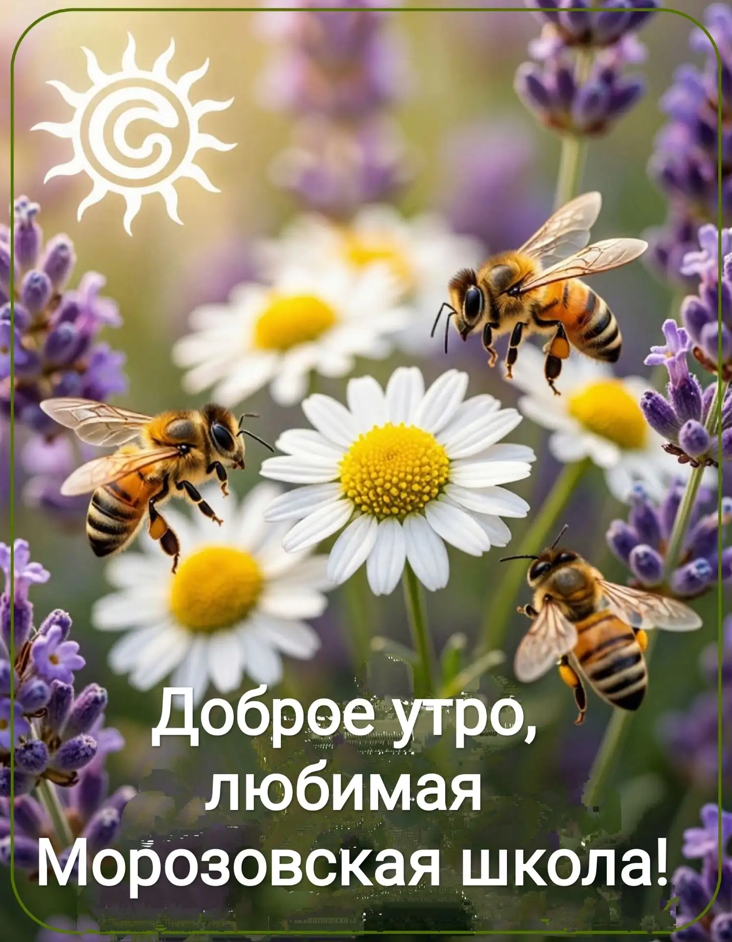 🔆 С добрым утром, уважаемые подписчики и гости канала МБОУ МОРОЗОВСКАЯ ООШ!
