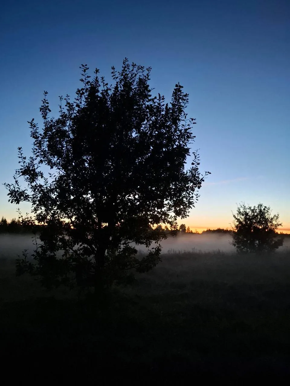 🌙 Доброй ночи, Архангельск!