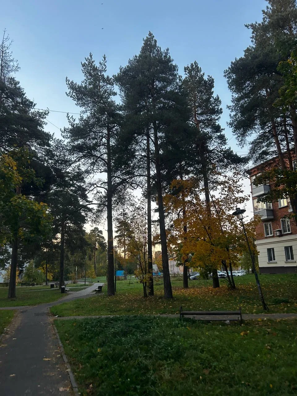 Чкаловцы, доброе утро ☀️