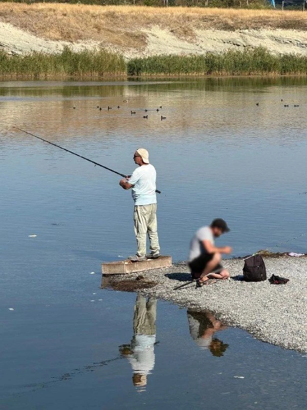 😕 Кормушки делали курсанты Морского колледжа и горожане. Не для наглых рыбаков, а для ...