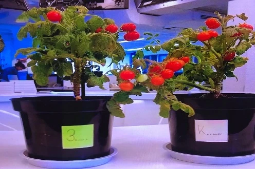 🔭🔬🧬 KP.RU: Самые впечатляющие открытия российских ученых за неделю