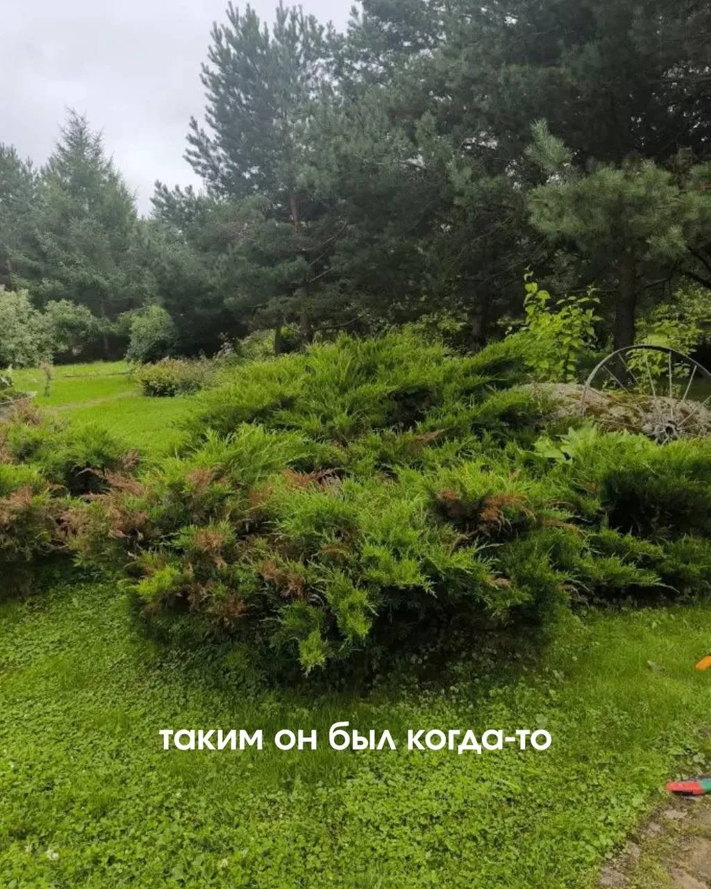 Реконструкция сада это такая творческая история))