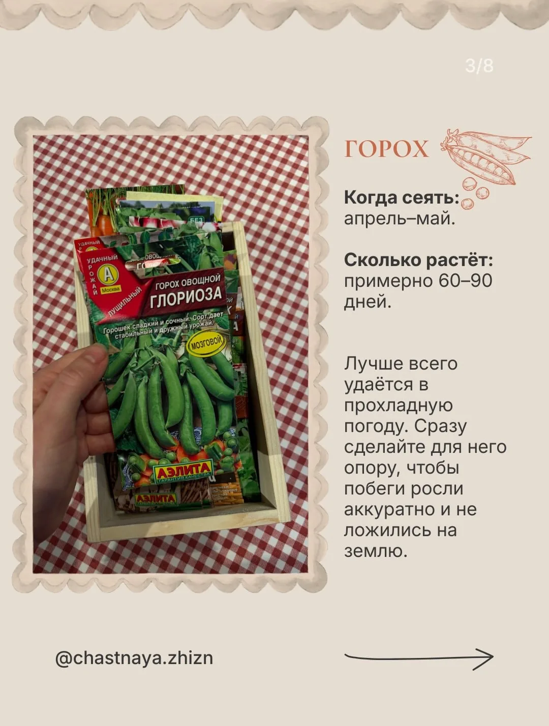 В первый год садоводства особенно хочется увидеть результат🌱   Я абсолютный любитель, но даже у меня