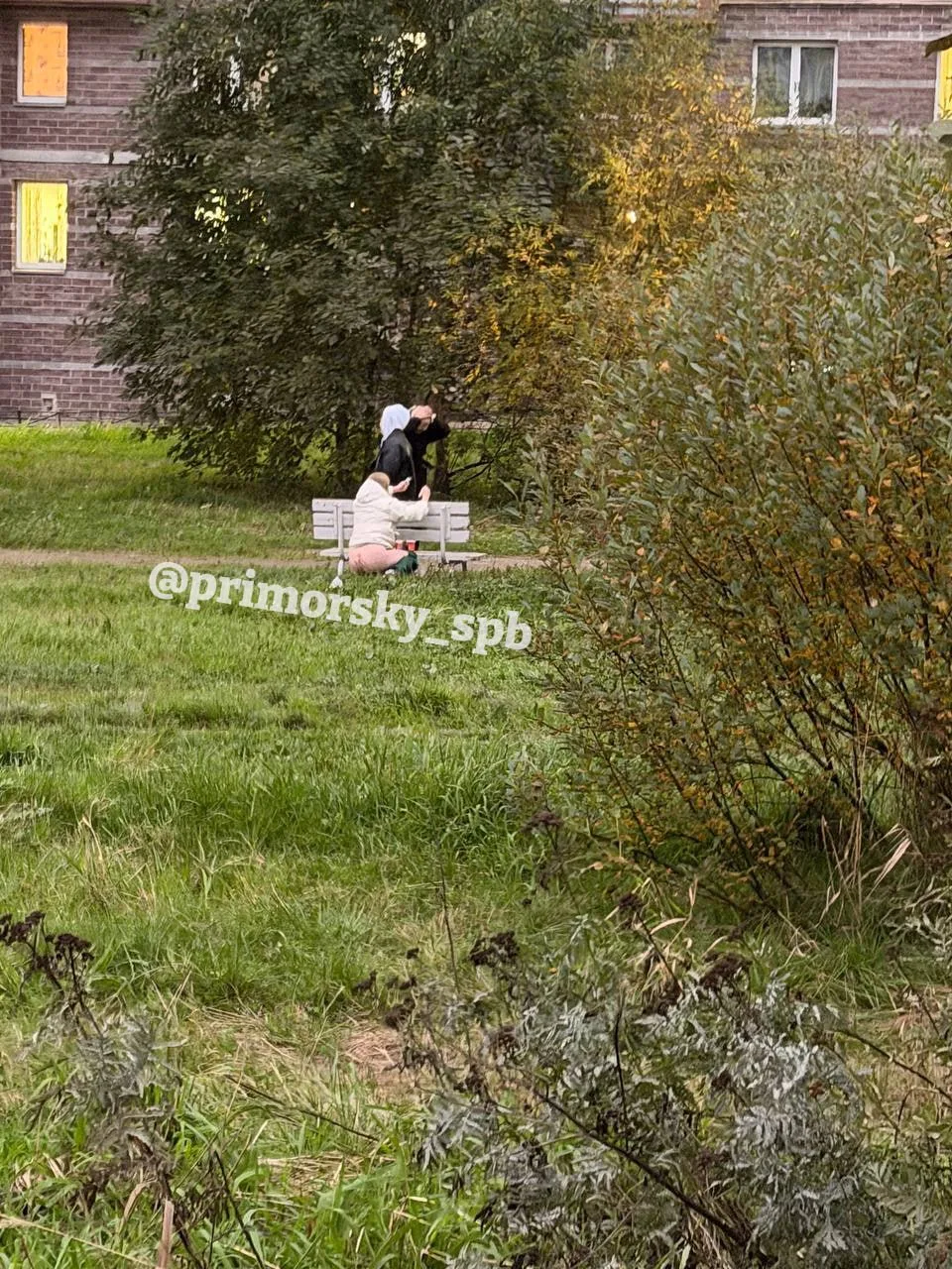 Ситуация на лужайке у Парашютной, 52 🙊