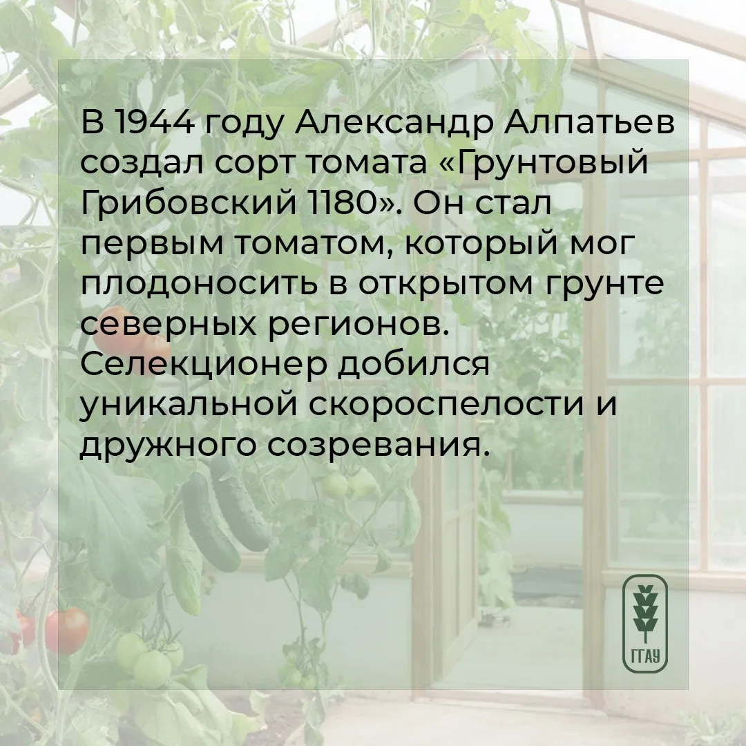 😉 Для одних понедельник – день тяжелый, а мы его сделаем – полезным и интересным. И расскажем о… пол