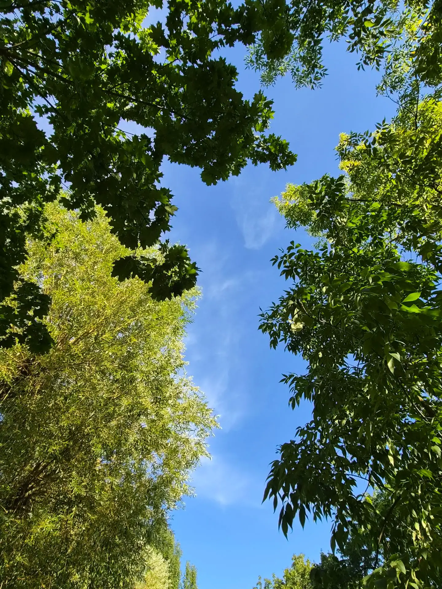 Август начался тепло и солнечно🌞️