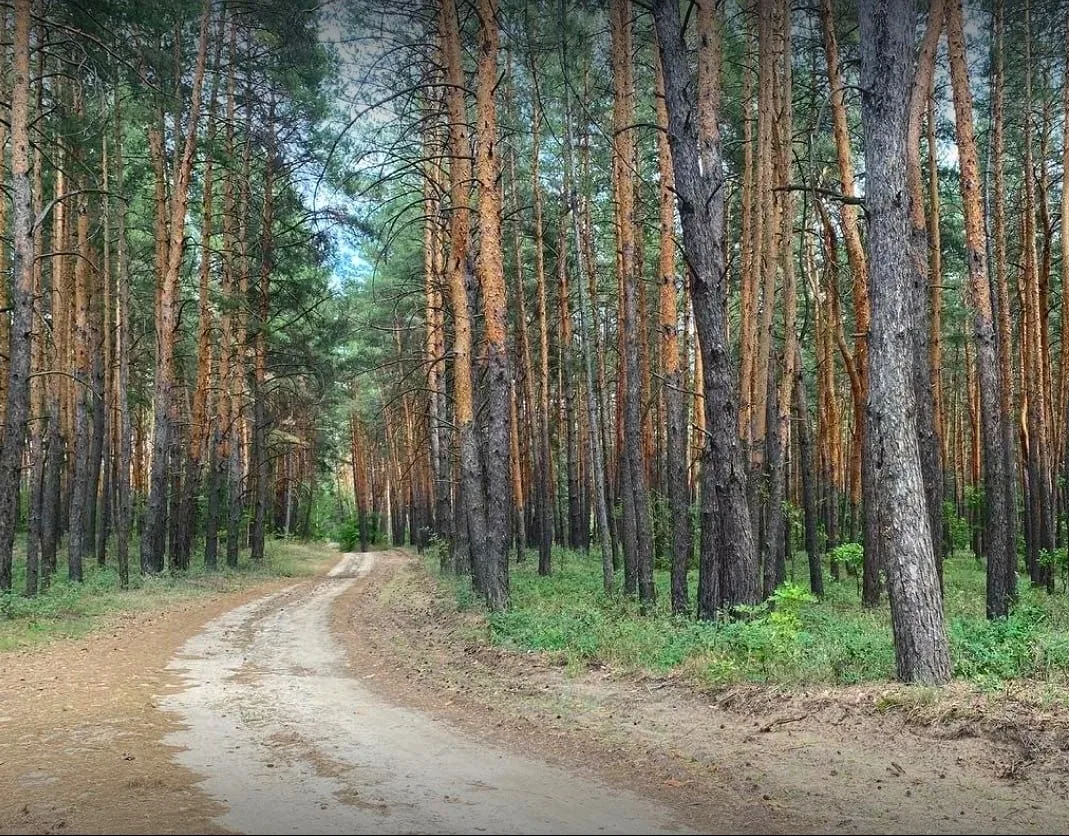 Суббота, 27 июня 2026 года
