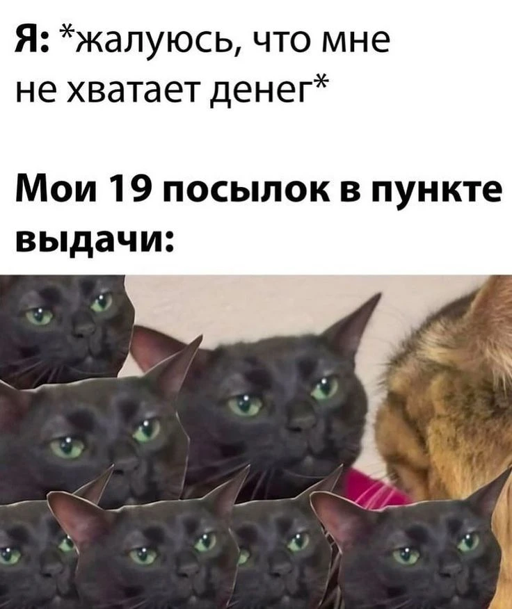 😂Девочки, кто???