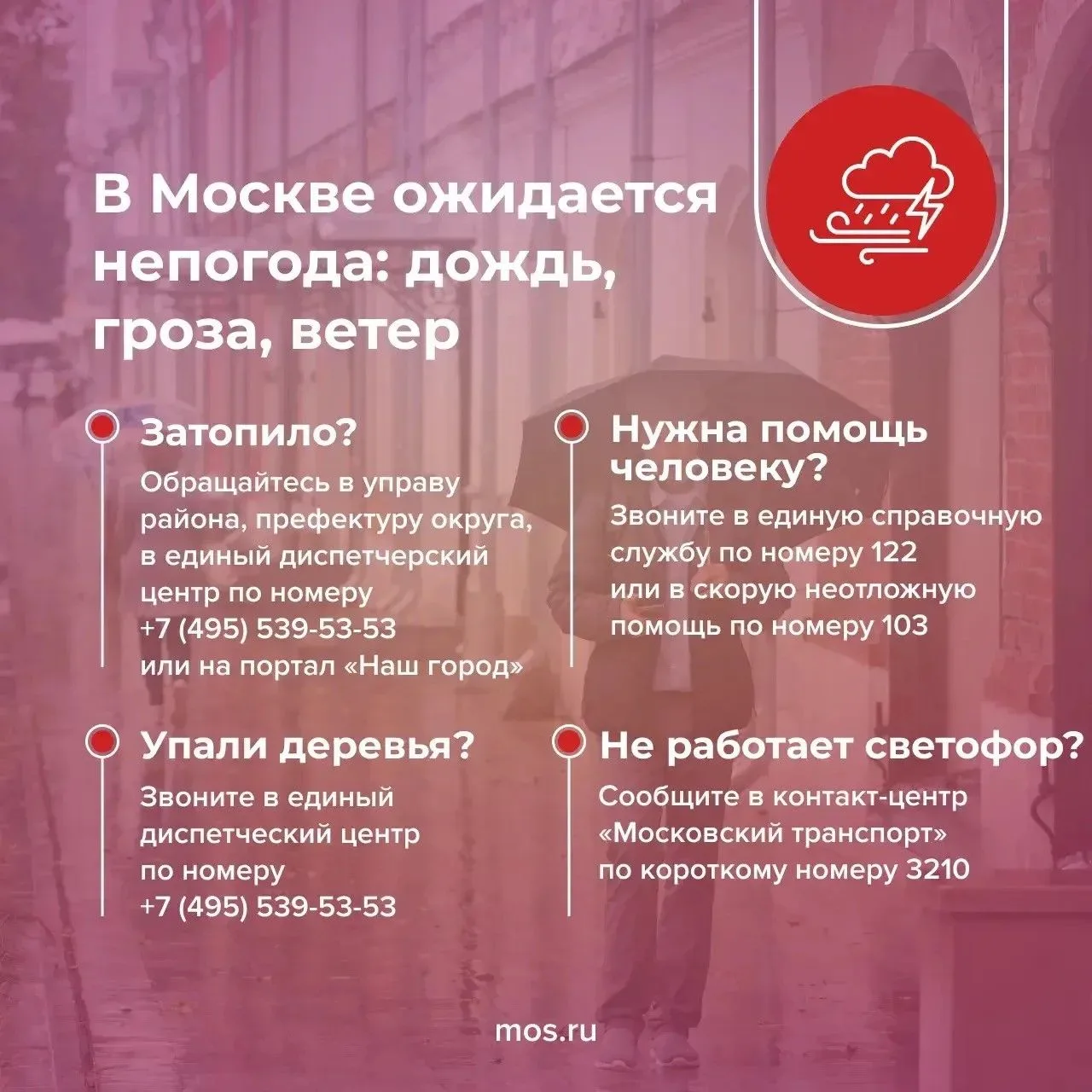 🌧 Сегодня в Москве дождь с грозой и сильный ветер.