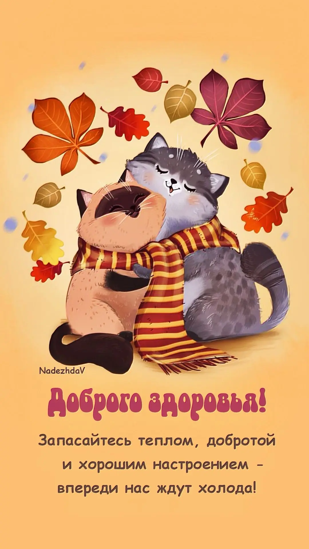 Дом Открыток🏠