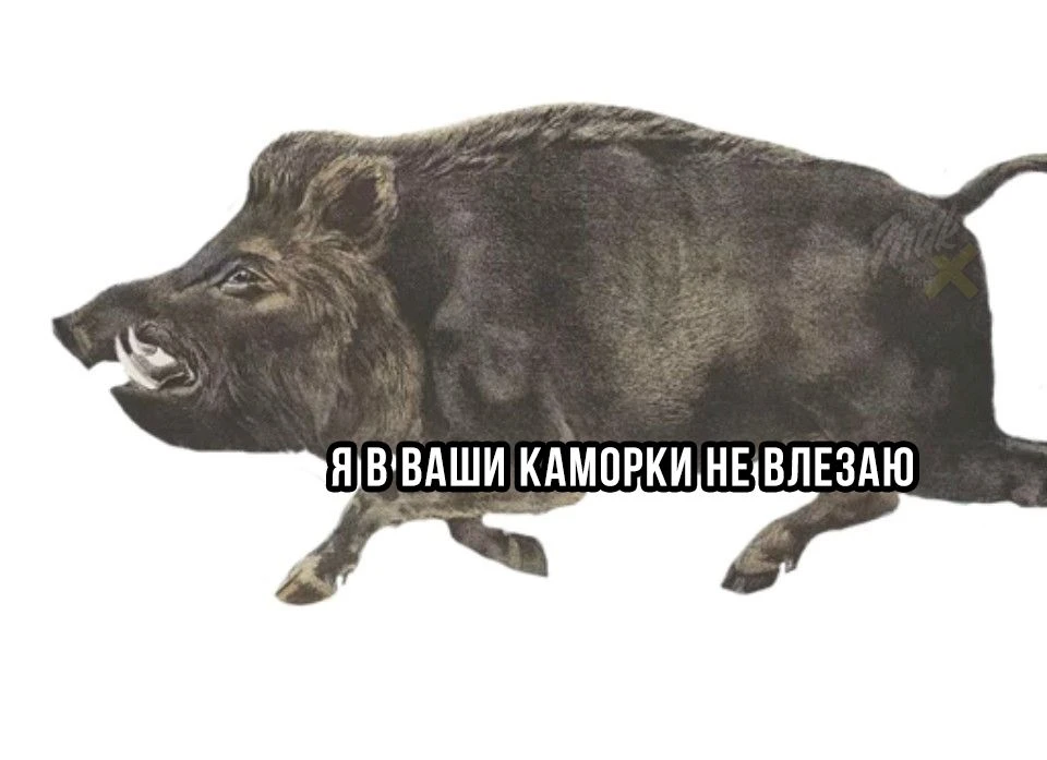 🏢 В Нижнем придумали, как заманить крупные московские компании