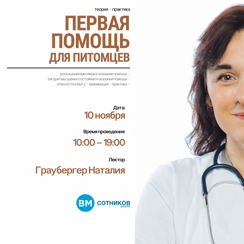 Курс первой помощи для собак и кошек — это 8 часов интенсивной практики. Без воды. Без ...