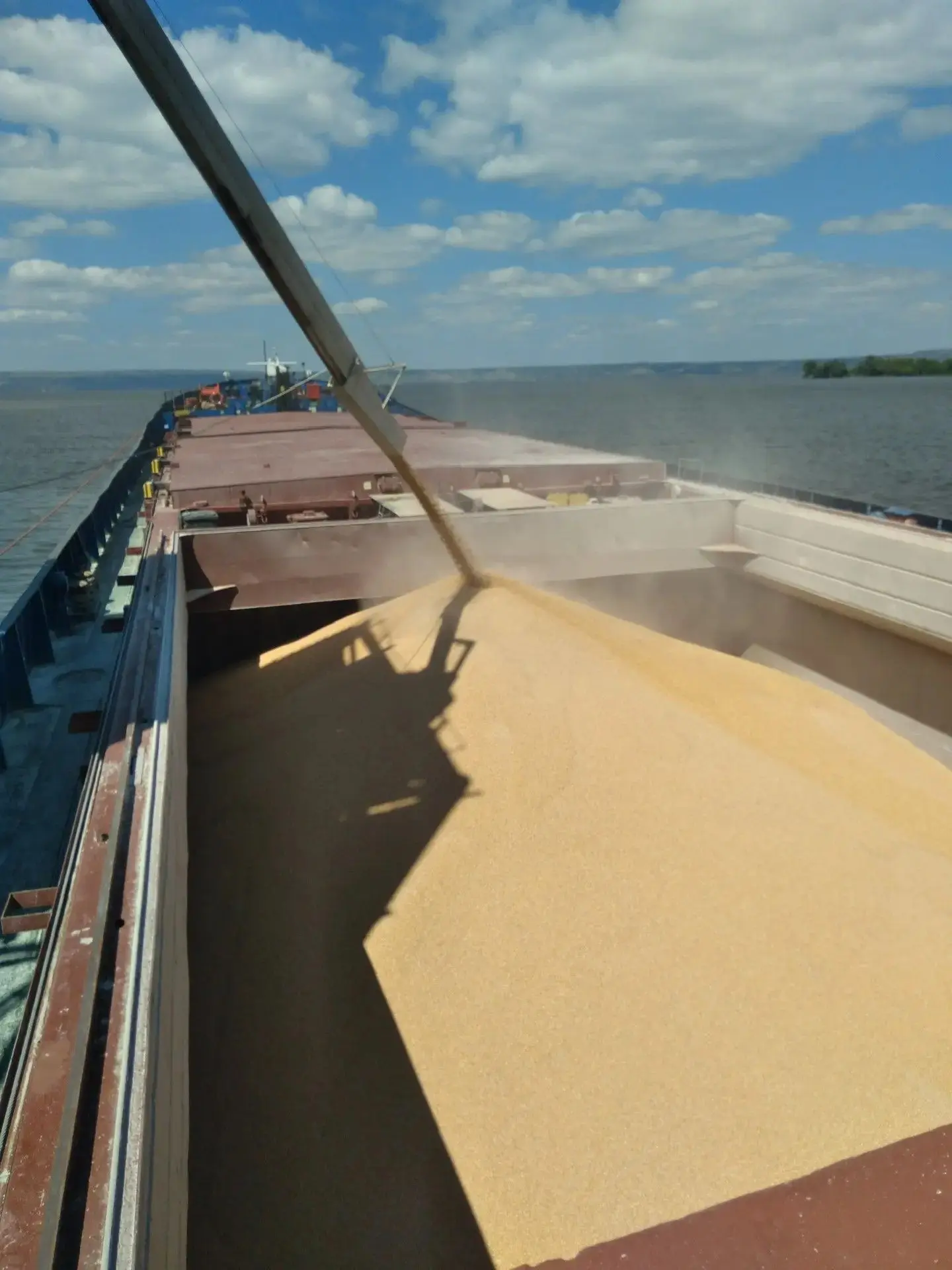 С начала года экспорт из Саратовской области подконтрольной ветнадзору продукции составил более 8 ты