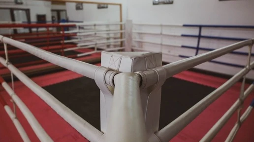 Емельяненко заявил о желании выйти на ринг против Нганну