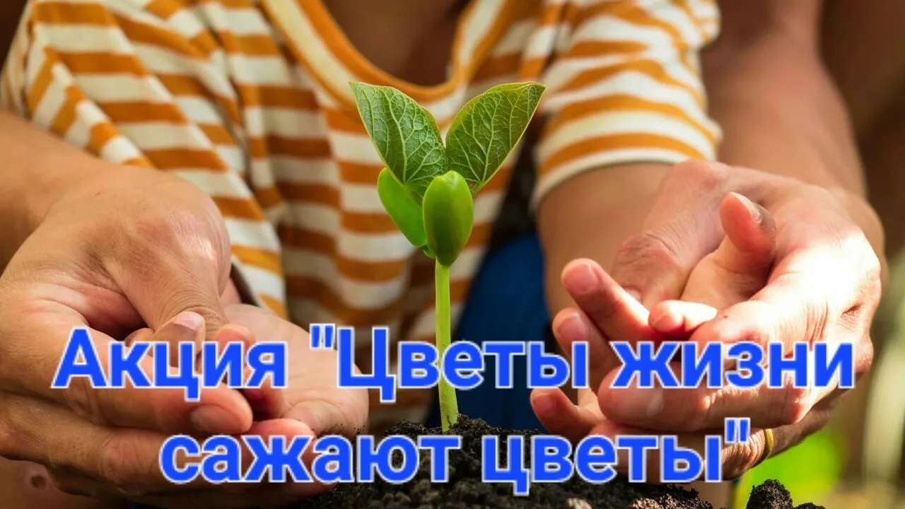Акция «Цветы жизни сажают цветы»
Уполномоченный по правам ребёнка в Новгородской области запускает т