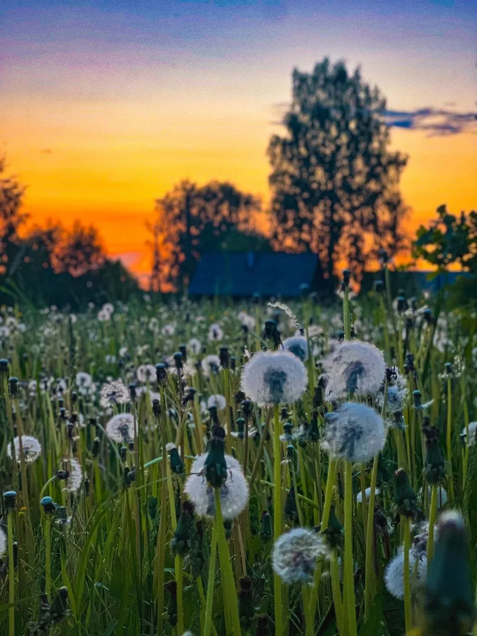 🌙Доброй ночи!